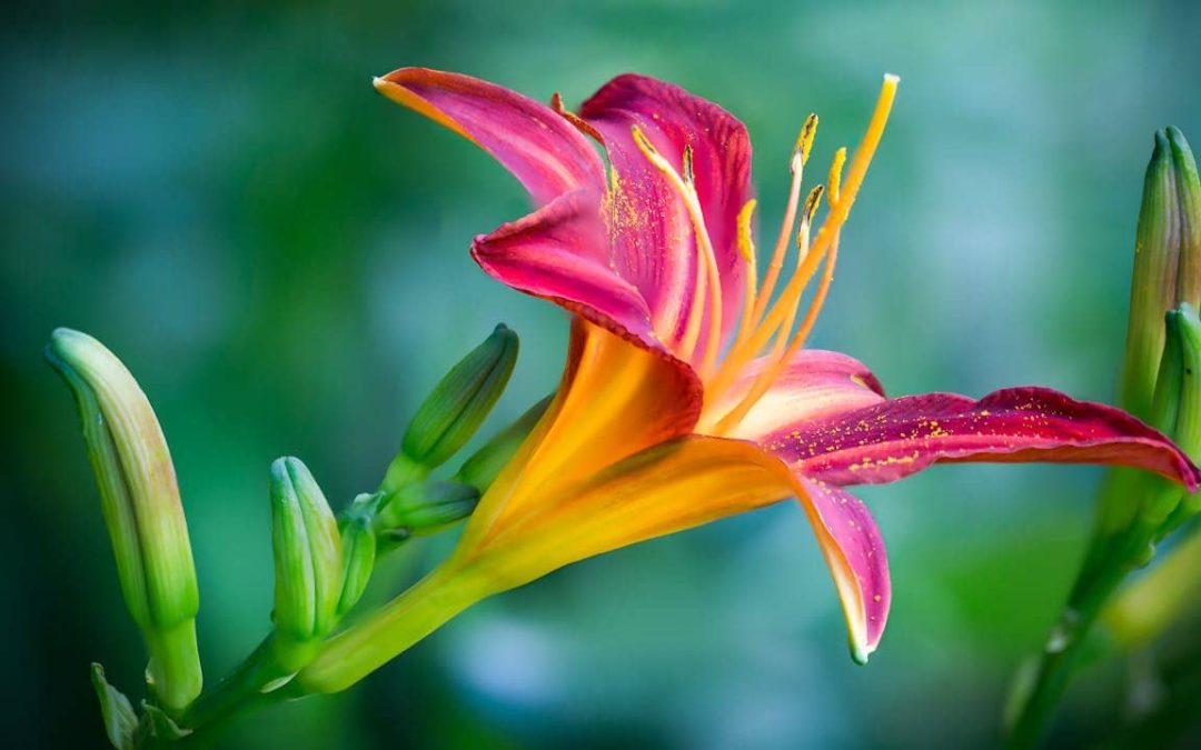 What Season is Your Nonprofit In? (And What To Do Now)